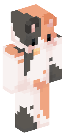 Roier2961 Minecraft Skin Preview on Minecraft.Co.Com