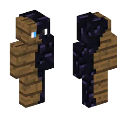 Minecraft Skin #231029