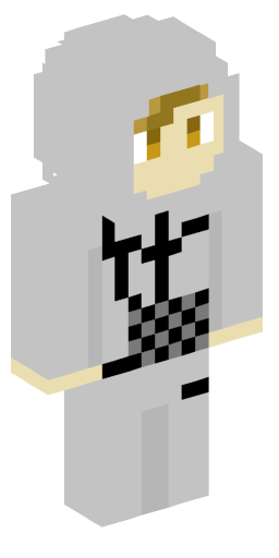 robin20103 Minecraft Skin Preview on Minecraft.Co.Com