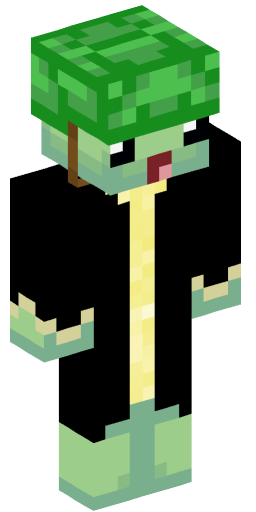 TortugaTGamer Minecraft Skin Preview on Minecraft.Co.Com
