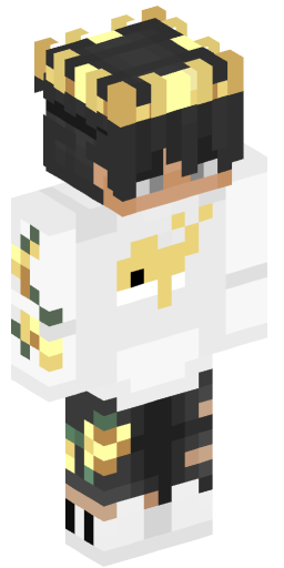 dobbywarrioronyt Minecraft Skin Preview on Minecraft.Co.Com