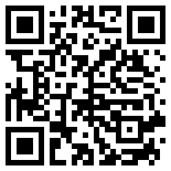 Punkhole QR Code