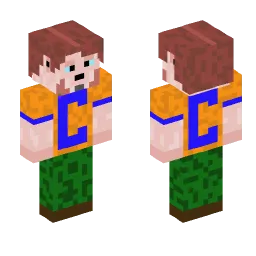 Minecraft Skin #231911