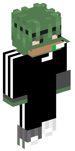 skibiditoilet111 Minecraft Skin Preview on Minecraft.Co.Com