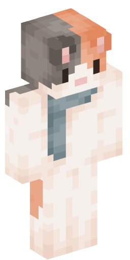 skibiditoilet782 Minecraft Skin Preview on Minecraft.Co.Com