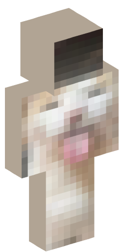 natant Minecraft Skin Preview on Minecraft.Co.Com