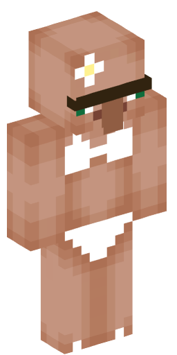 VillagersAreBae Minecraft Skin Preview on Minecraft.Co.Com