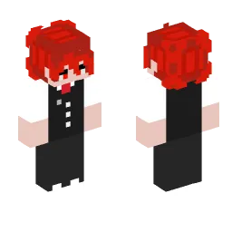 Minecraft Skin #233411