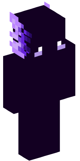 Bumseg Minecraft Skin Preview on Minecraft.Co.Com