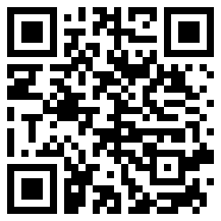 RaidenMeiBaals QR Code