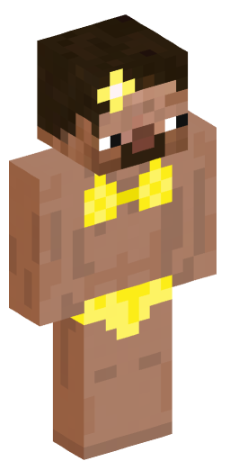 pixie22 Minecraft Skin Preview on Minecraft.Co.Com