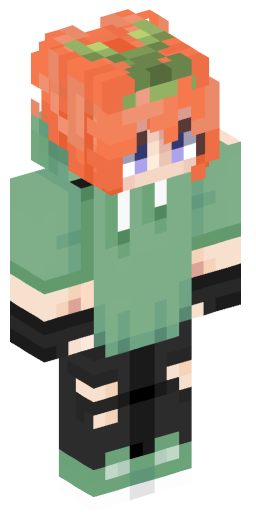 NoGi_11_04 Minecraft Skin Preview on Minecraft.Co.Com