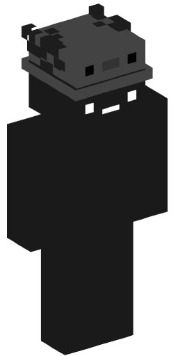 Gammer Minecraft Skin Preview on Minecraft.Co.Com