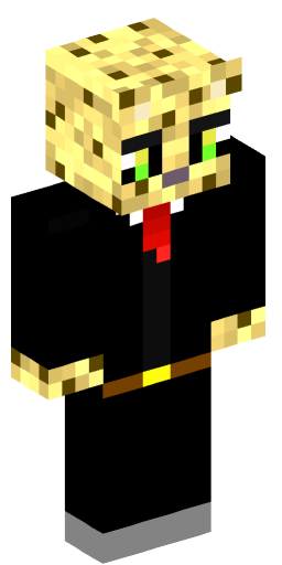DiddyBriz Minecraft Skin Preview on Minecraft.Co.Com