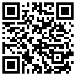Villera QR Code