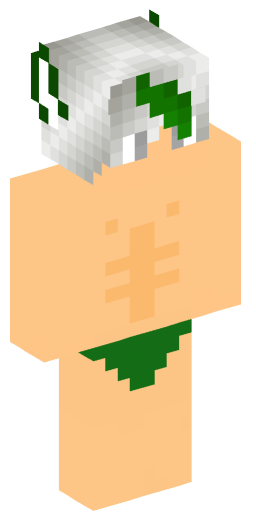 NETGEAR33 Minecraft Skin Preview on Minecraft.Co.Com