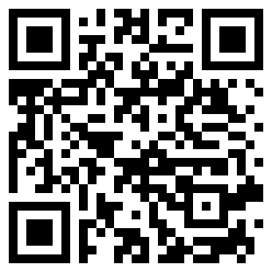 Blitzgamerboy QR Code