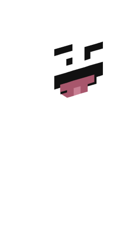 Ewokk2009 Minecraft Skin Preview on Minecraft.Co.Com