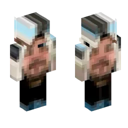 Minecraft Skin #241110