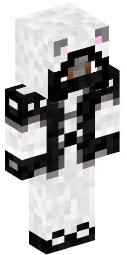 Stormtrooper09 Minecraft Skin Preview on Minecraft.Co.Com
