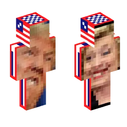 Minecraft Skin #242153