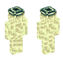 Minecraft Skin #242888