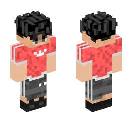 Minecraft Skin #243318