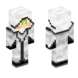Minecraft Skin #243347