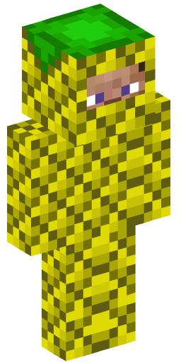 BrawlstarsLigma Minecraft Skin Preview on Minecraft.Co.Com