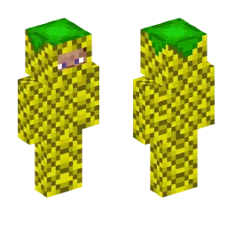 Minecraft Skin #243511