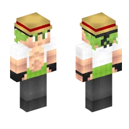 Minecraft Skin #243706