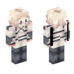 Minecraft Skin #245235