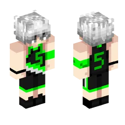 Minecraft Skin #246354