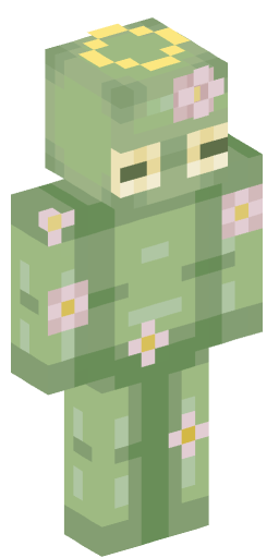 anaissoccer07 Minecraft Skin Preview on Minecraft.Co.Com