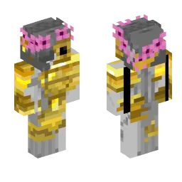 Minecraft Skin #247160
