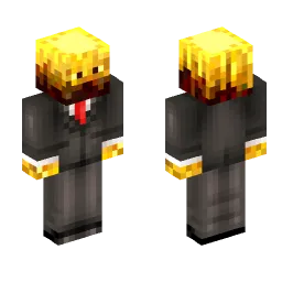 Minecraft Skin #248639