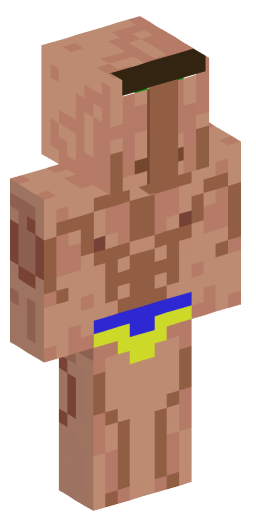 Picsou_fr Minecraft Skin Preview on Minecraft.Co.Com