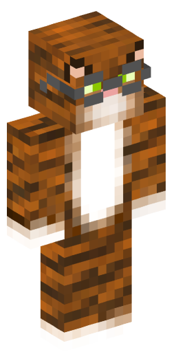 FelineAstronomer Minecraft Skin Preview on Minecraft.Co.Com