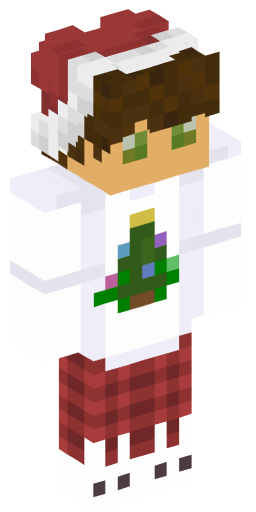 bjork99 Minecraft Skin Preview on Minecraft.Co.Com
