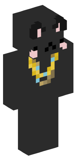 bjorkp Minecraft Skin Preview on Minecraft.Co.Com