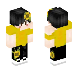 Minecraft Skin #250114