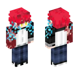 Minecraft Skin #250301
