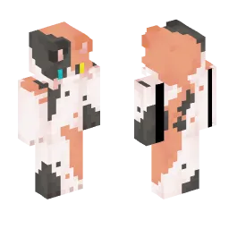 Minecraft Skin #251123
