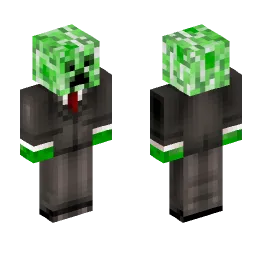 Minecraft Skin #252230