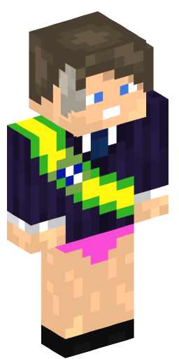 bolsonaro293 Minecraft Skin Preview on Minecraft.Co.Com