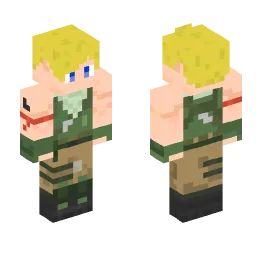 Minecraft Skin #252311