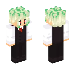 Minecraft Skin #253061