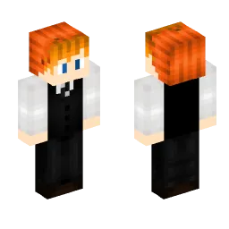 Minecraft Skin #255340