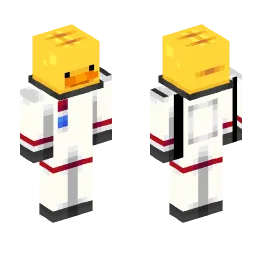 Minecraft Skin #255368