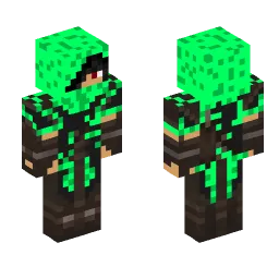 Minecraft Skin #255562
